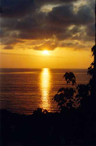 couch&eacute; d soleil